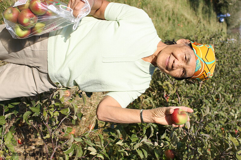 Photo of Irene Corpuz at Apple Farm in Minnesota(7801)