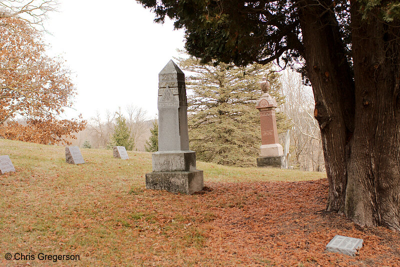 Photo of Union Cemetery, Belvidere, Minnesota(8315)