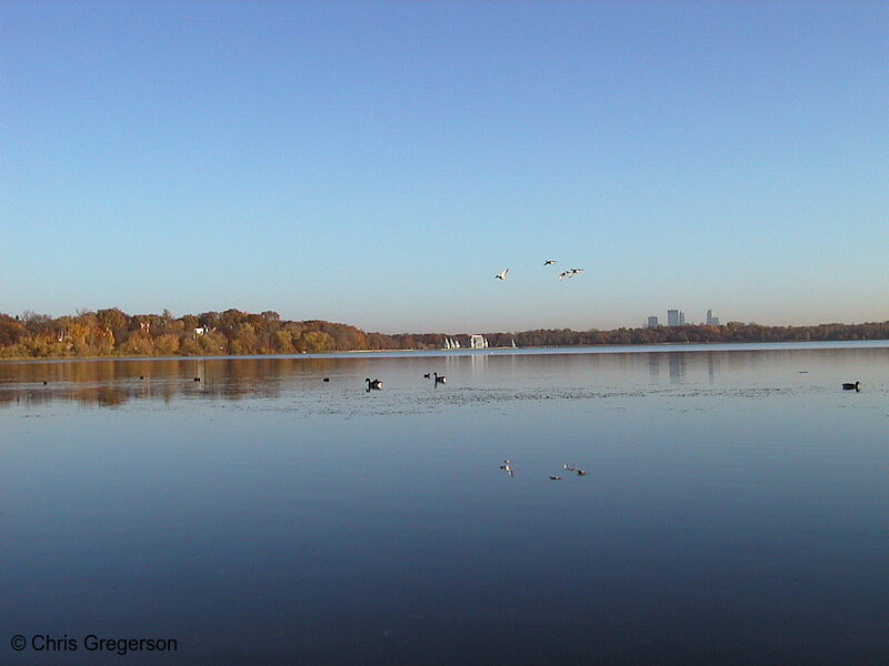 Photo of Lake Harriet in the Fall(1109)