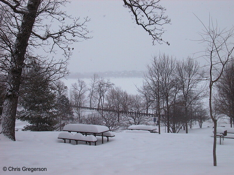 Photo of Lake Harriet from Beards Plaisance(1160)