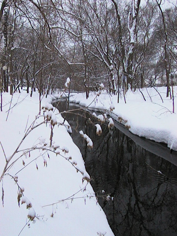 Photo of Minnehaha Creek by 48th Street in Winter(1186)
