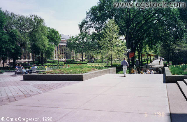 Photo of Northrop Mall from the Plaza(119)