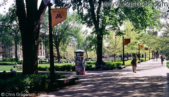 Photo of Northrop Mall by Walter(120)