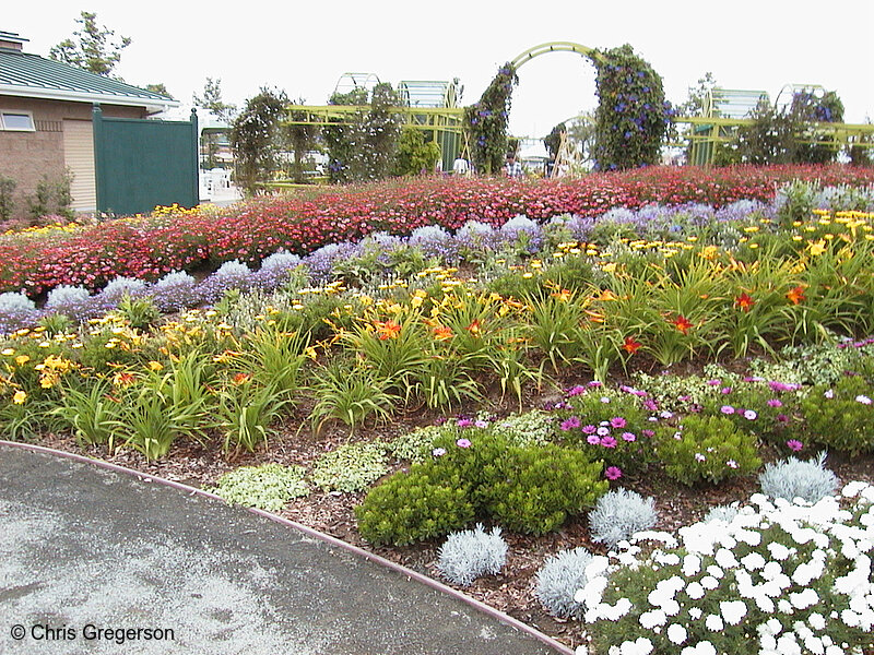 Photo of The Color Project at the Flower Fields(1443)