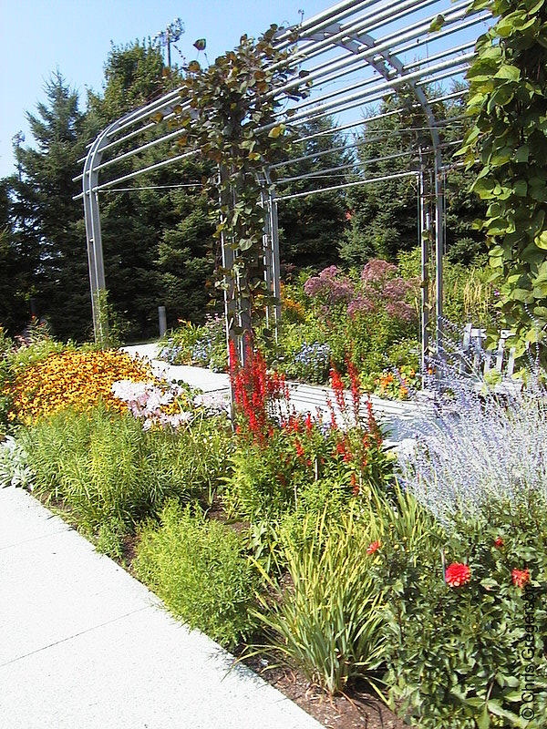 Photo of Grossman Arbor and Flower Garden(1679)