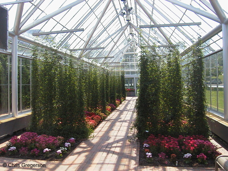 Photo of Cowles Conservatory(1681)