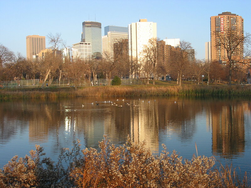 Photo of Skyline from Loring Park(1708)