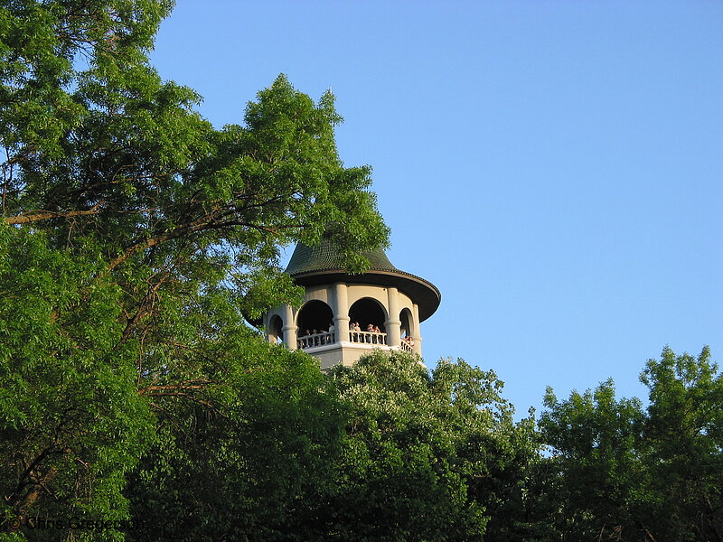 Photo of Witch's Hat Observation Deck(2039)