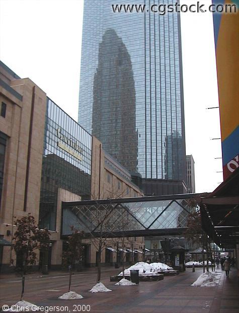 Photo of Nicollet Mall and 6th Street(Gaviidae)(205)