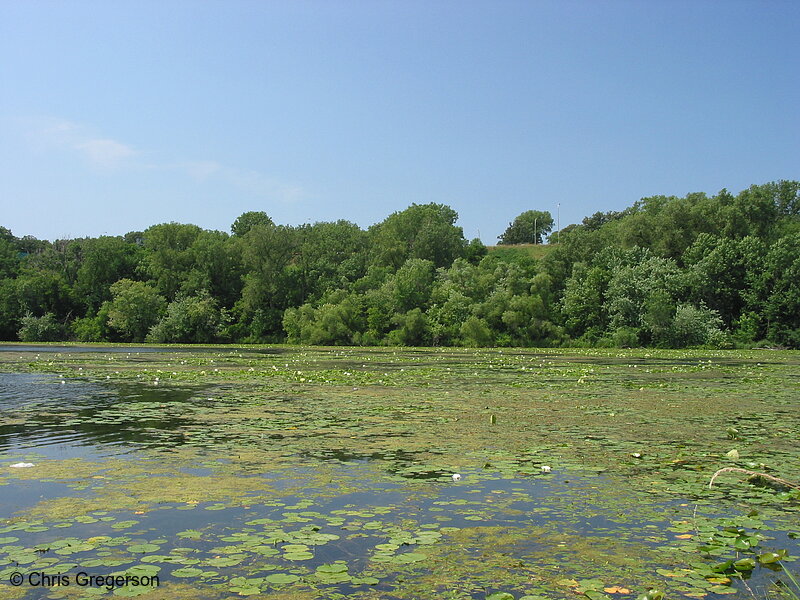 Photo of Snelling Lake(2215)