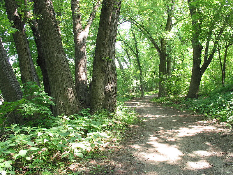 Photo of Path in Fort Snelling State Park(2217)