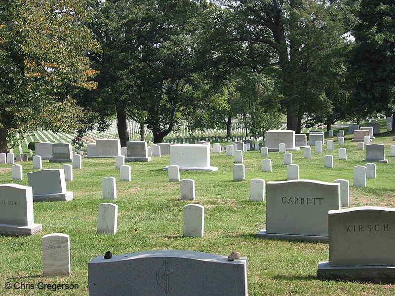 Photo of Headstones at Arlington National Cemetery(2377)