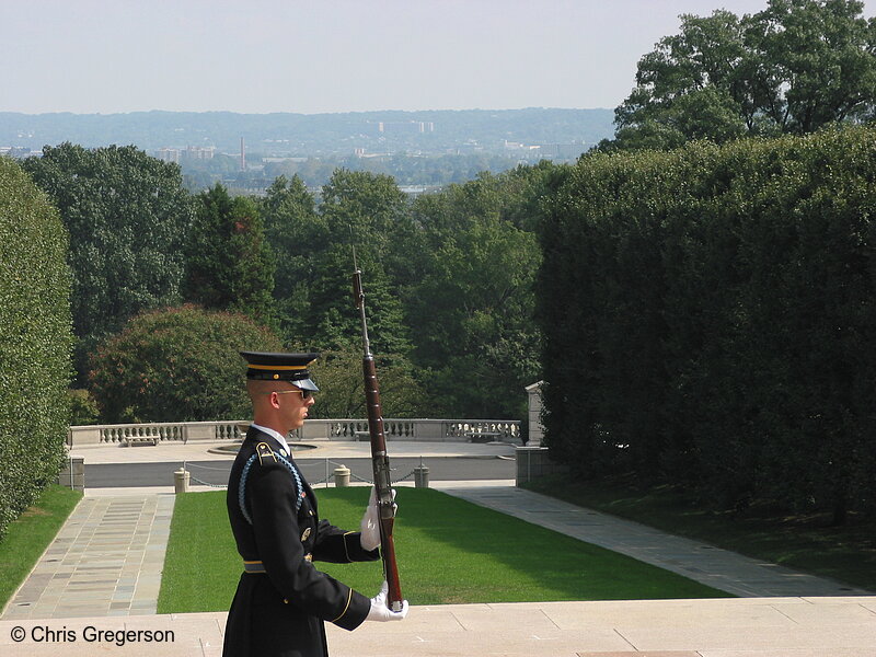 Photo of Sentinel at the Tomb of the Unknowns(2380)