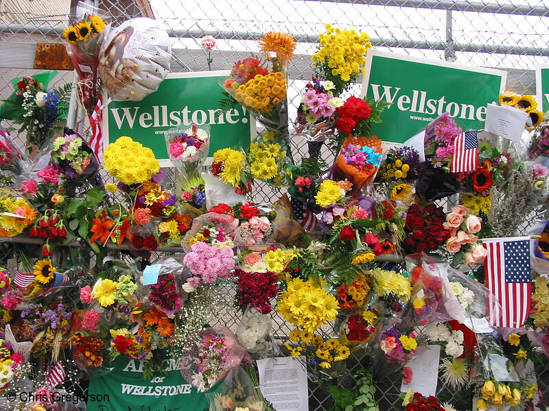 Photo of Wellstone Memorial(2488)