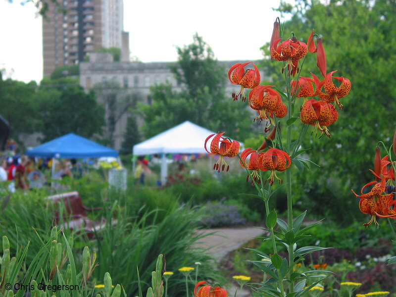 Photo of Loring Park During the Pride Festival(2817)