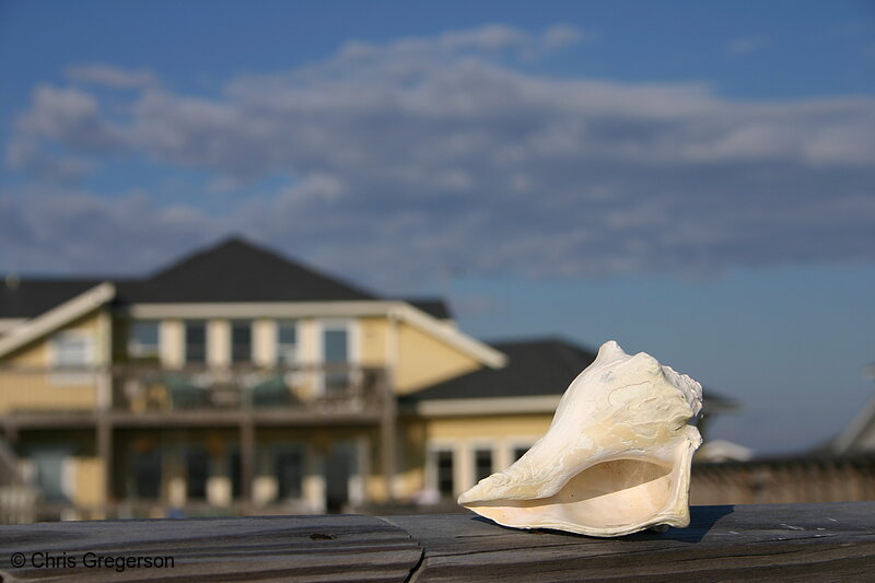 Photo of Seashell and Beach House(2901)
