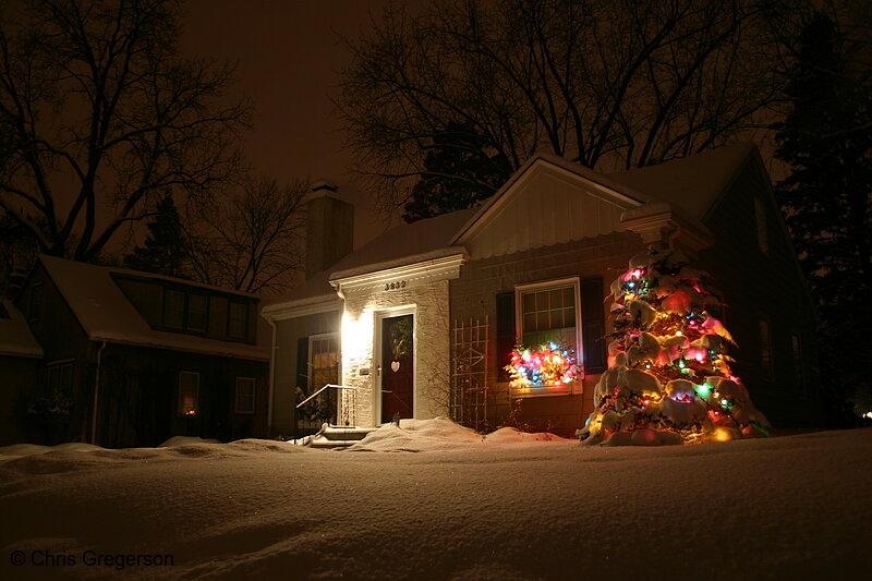Photo of House and Christmas Tree at night(3046)