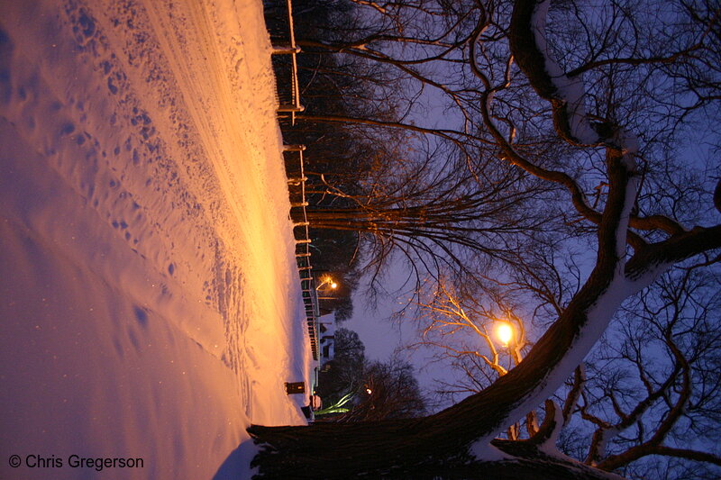 Photo of Street Covered in Snow, After Dark(3079)