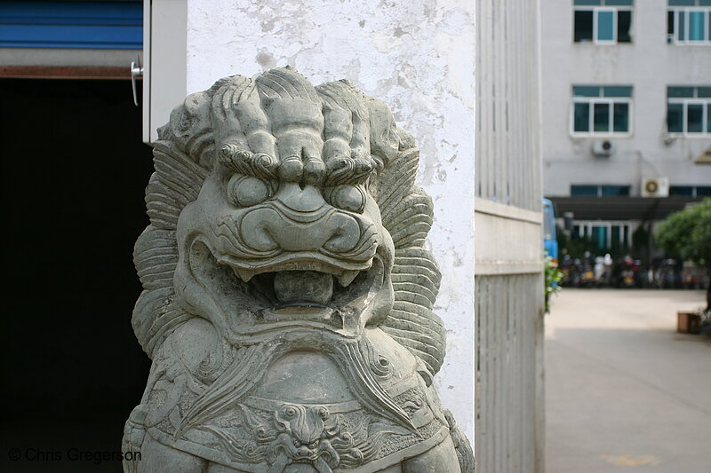 Photo of Lion Guarding a Factory Gate(3389)