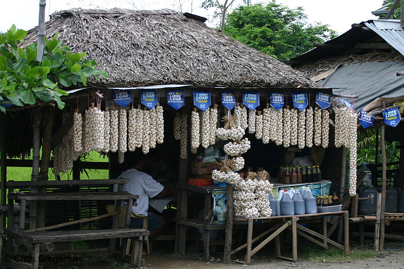 Photo of Garlic for Sale, Pinili, the Philippines(4170)