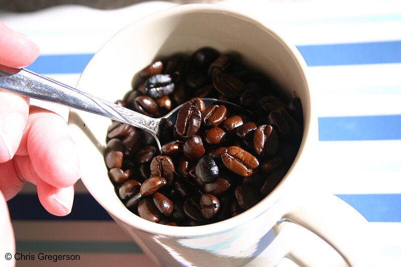 Photo of Coffee Cup with Whole Beans(4384)