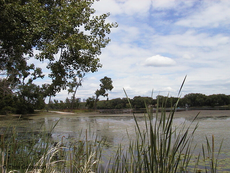 Photo of Cedar Lake(462)