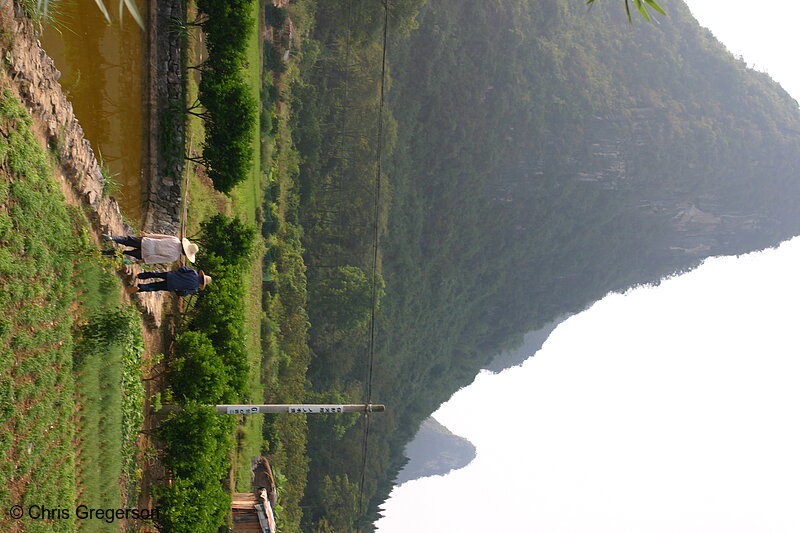 Photo of Rice Farm Among Karst Mountains(5050)