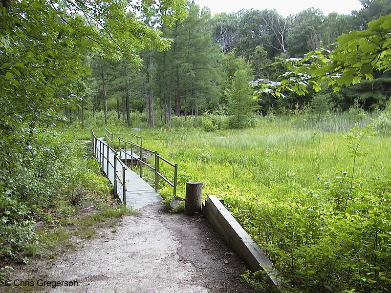 Photo of Bog Footbridge(517)