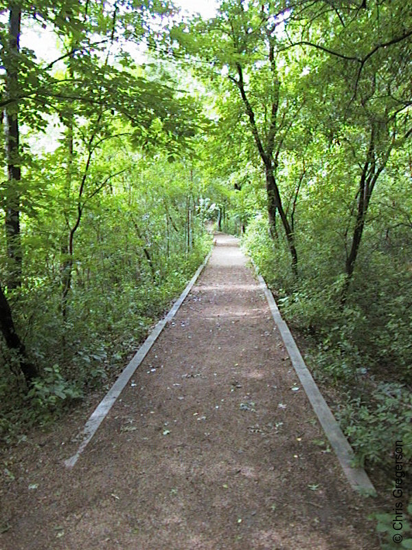Photo of Straight Hiking Path at Wirth Park(520)