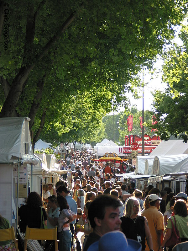 Photo of Crowd and Vendors at the Uptown Art Fair(5259)