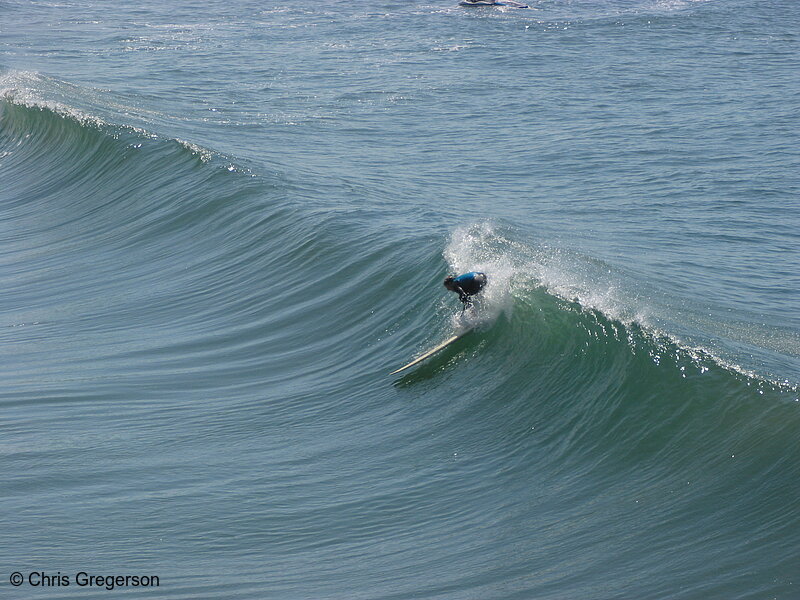 Photo of Surfer Catching a Wave(5308)