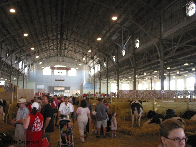 Photo of Cow Barn, Minnesota State Fair(5322)