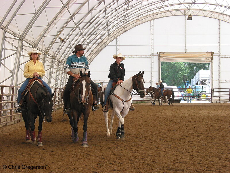 Horses in the Warm-Up Pen, State Fair