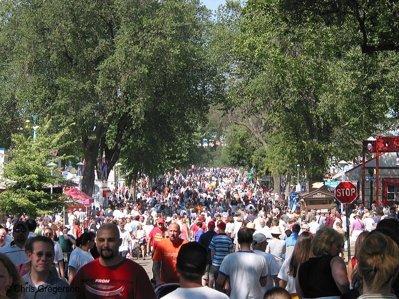 Crowd at the Minnesota State Fair