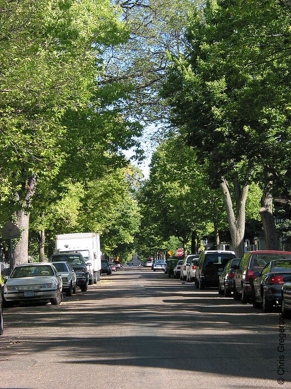 Photo of Residential Street in Central Minneapolis(5331)