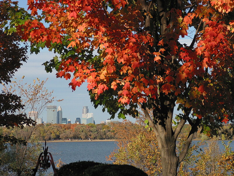 Photo of Green and Red Leafs, Lake Harriet and Minneapolis Skyline(5346)