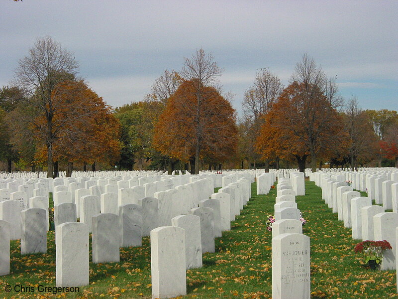 Photo of Rows of Headstones, Fort Snelling National Cemetery(5351)