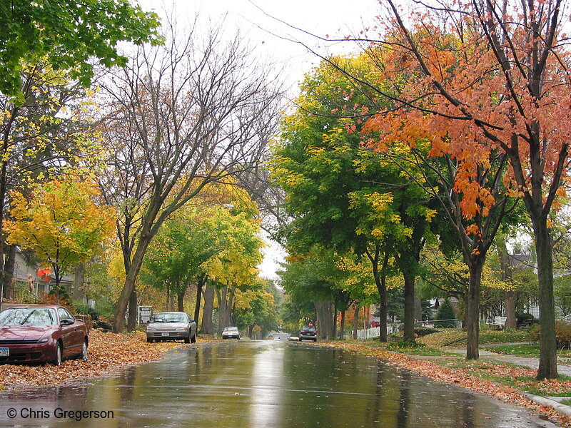Photo of Linden Hills in Fall(5426)