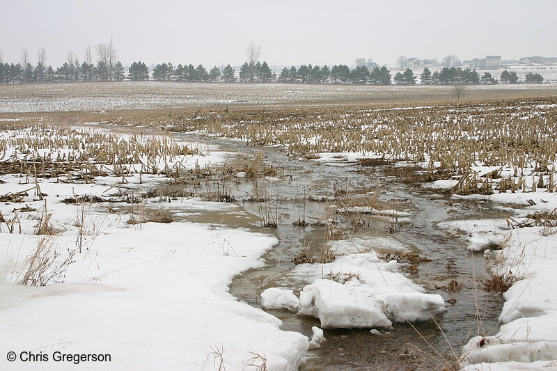 Photo of Corn Field and Rural Countryside in Winter(5476)