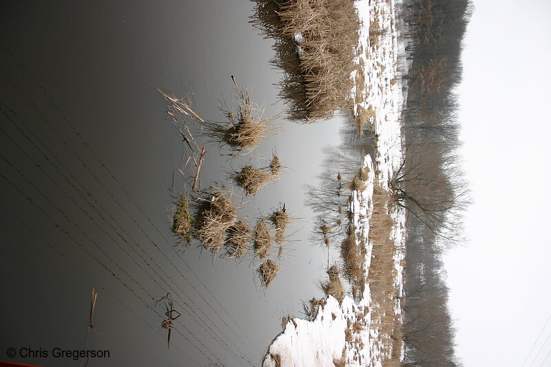 Photo of Creek in Winter in Wisconsin(5481)