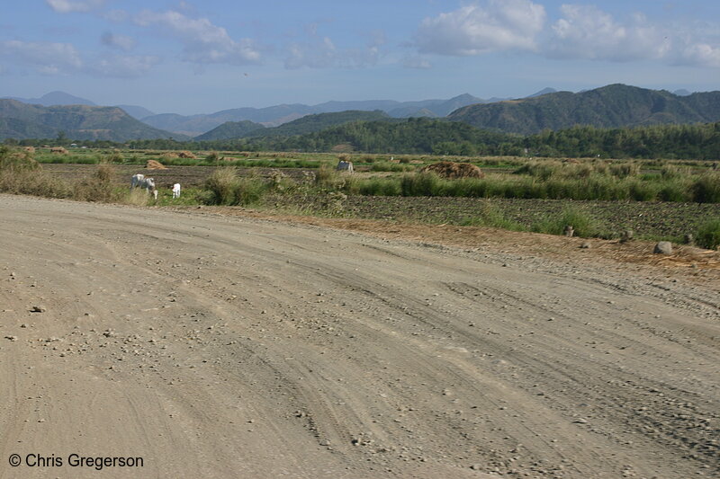 Photo of Gravel Road, Farmland, and Mountains in Ilocos Norte, the Philippines(5518)