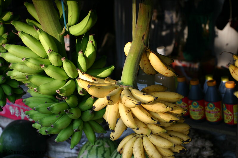 Photo of The Banana called Se�orita(5531)