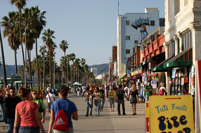 Photo of Venice Beach Walkway(5611)