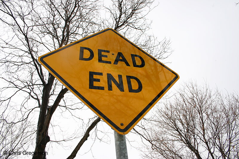 Photo of Dead End Street Sign(5730)