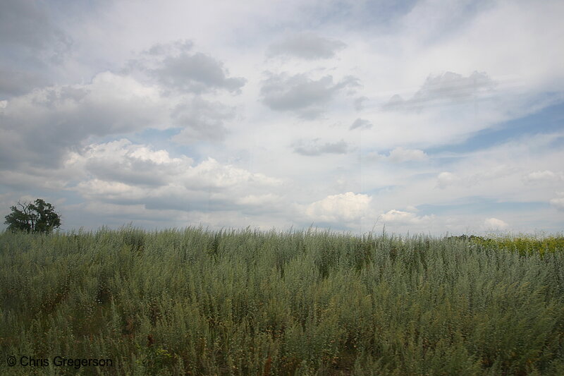 Photo of Grasslands and low-lying Clouds near a Freeway in Western Wisconsin(5820)