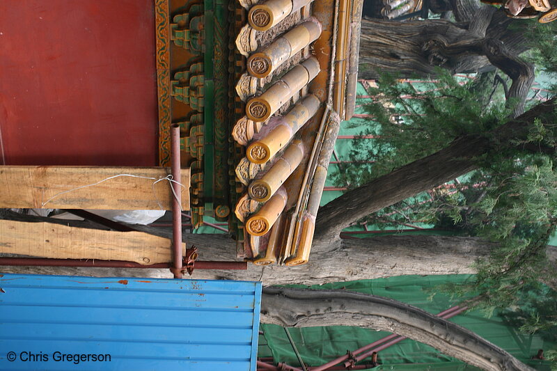 Photo of Architectural Detail in Imperial Garden, Forbidden City, China(6056)