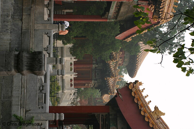 Photo of Imperial Garden Buildings, Forbidden City, China(6057)