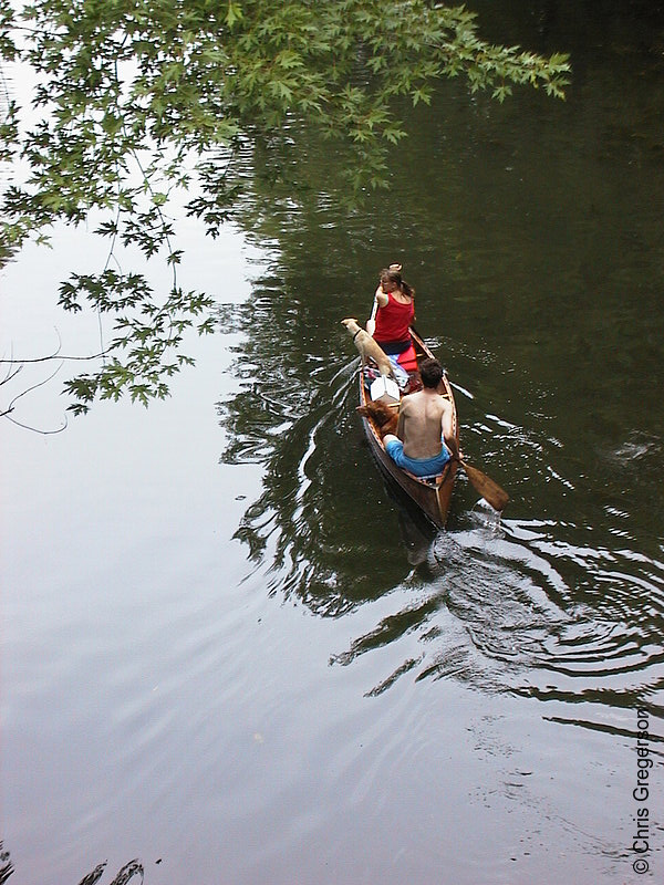 Photo of Couple Paddling a Canoe(612)
