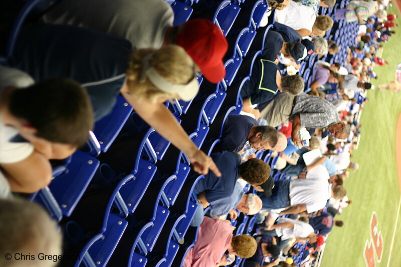 Photo of Fans in the Metrodome Before a Minnesota Twins Game(6238)