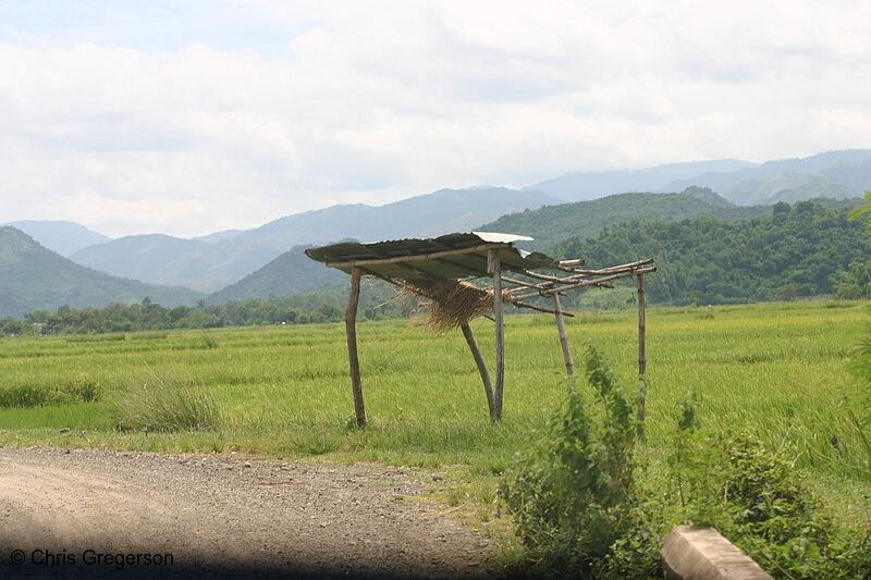 Photo of Shade Stand Near Rice Fields, Badoc, Ilocos Norte, the Philippines(6355)